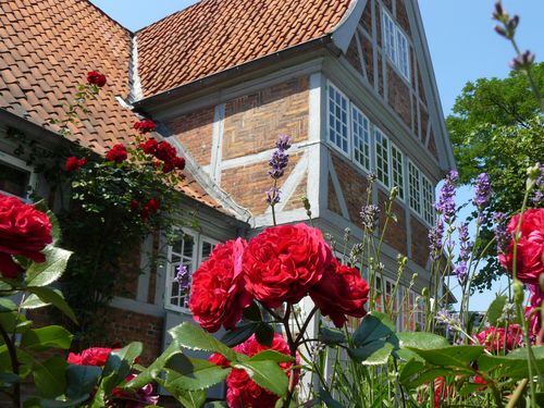 Krügesches Haus im Sommer 