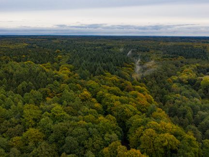 Segelboot auf dem Ratzeburger Domsee vor der Kulisse des Doms