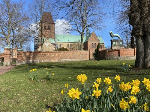 Ratzeburg_Frühling_Ratzeburger Dom