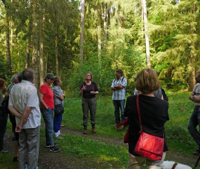 Waldspaziergang für Gruppen mit Waldpädagogin Traute Tockhorn Krukow, WalderlebnisWelt, © WalderlebnisWelt