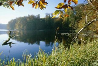 Herbststimmung an den Möllner Seen., © Wolfgang Buchhorn