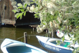 Der Gasthof am See verleiht für seine Feriengäste Ruderboote. Das Biosphärenreservat Schaalsee liegt in unmittelbarer Nähe zum Gasthof., © Gasthof am See in Seedorf