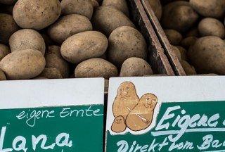 Kartoffeln, © Tourist-Information Ratzeburg/ Jens Butz