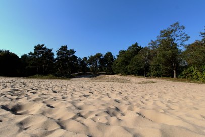 Einzigartige Binnendünenlandschaft, NSG Besenhorster Sandberge in Geesthacht, © Tourist-Information Geesthacht