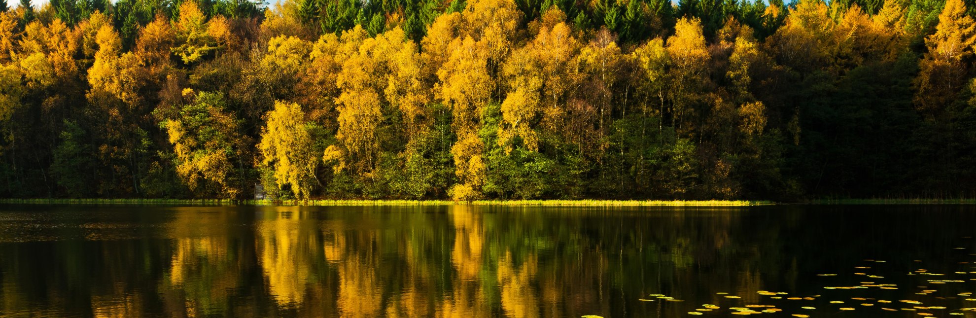 Herbst am Pinnsee, © Thomas Ebelt / HLMS GmbH