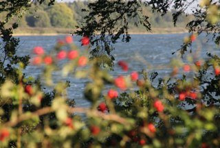 Herbstimpression am Mechwoer See, © Carina Jahnke / HLMS GmbH