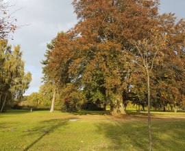 Der Fürstengarten im prachtvollen Herbstfarben, © Dorothee Meyer_HLMS