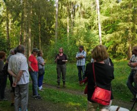 Waldspaziergang für Gruppen mit Waldpädagogin Traute Tockhorn Krukow, WalderlebnisWelt, © WalderlebnisWelt