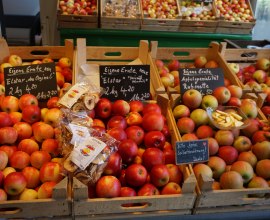 Pflückfrische Äpfel direkt vom Erzeuger, © Tourist-Information Geesthacht