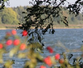 Herbstimpression am Mechwoer See, © Carina Jahnke / HLMS GmbH