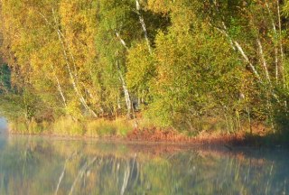 Herbstliche Spiegelung am Schaalsee-Ufer., © Thomas Ebelt / HLMS GmbH