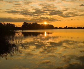 Goldener Sonnenuntergang am Mechower See., © Thomas Ebelt / HLMS GmbH