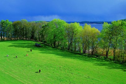 Blick vom Aussichtsturm auf den Schaalsee, © Naturpark Lauenburgische Seen