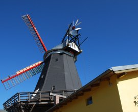 Die Riepenburger Mühle liegt in der Nähe vom Elberadweg und ist ein schöner Einkehrmöglichkeit auf der Elberadtour., © Tourist-Information Geesthacht