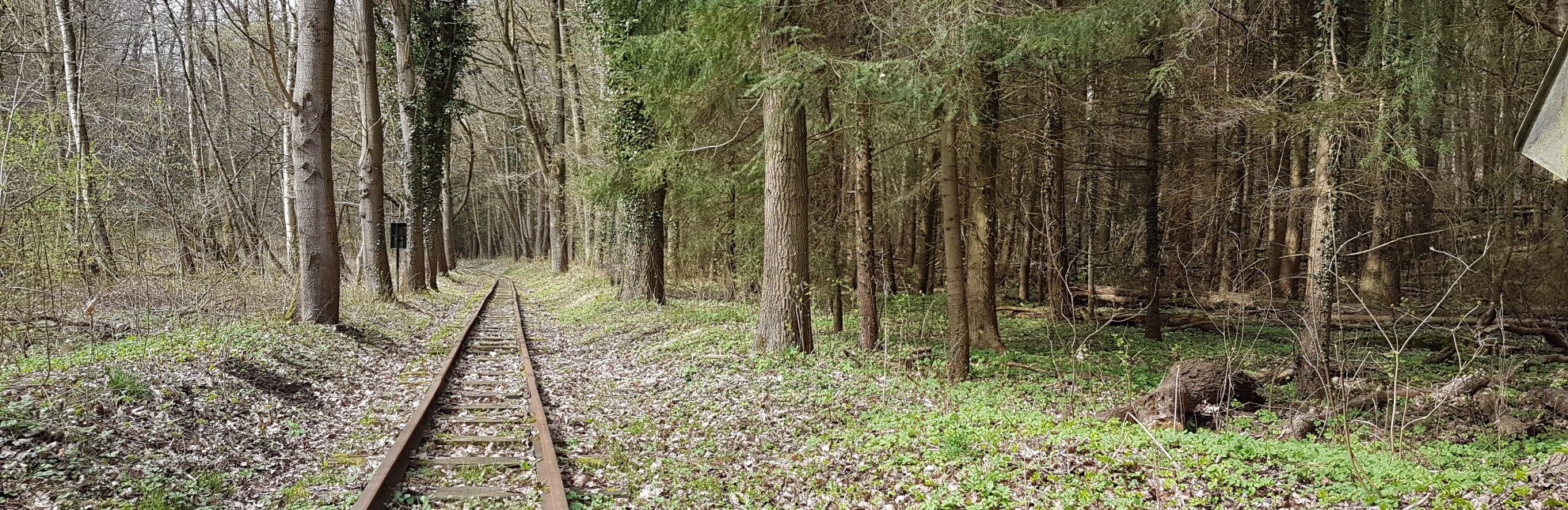 Gleise der Buchhorster Waldbahn, © Dorothée Meyer