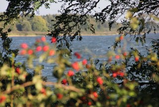 Herbst am Mechower See, © Carina Jahnke